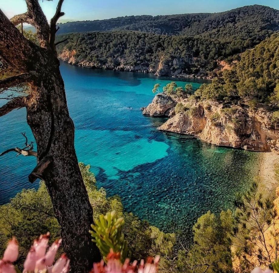 Logement Vue Mer Splendide - Situe A 50 Metres Du Bord De Mer Et 2 Minutes Des Plages - Bandolina Εξωτερικό φωτογραφία