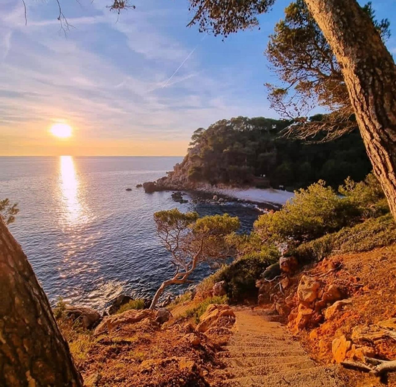 Logement Vue Mer Splendide - Situe A 50 Metres Du Bord De Mer Et 2 Minutes Des Plages - Bandolina Εξωτερικό φωτογραφία