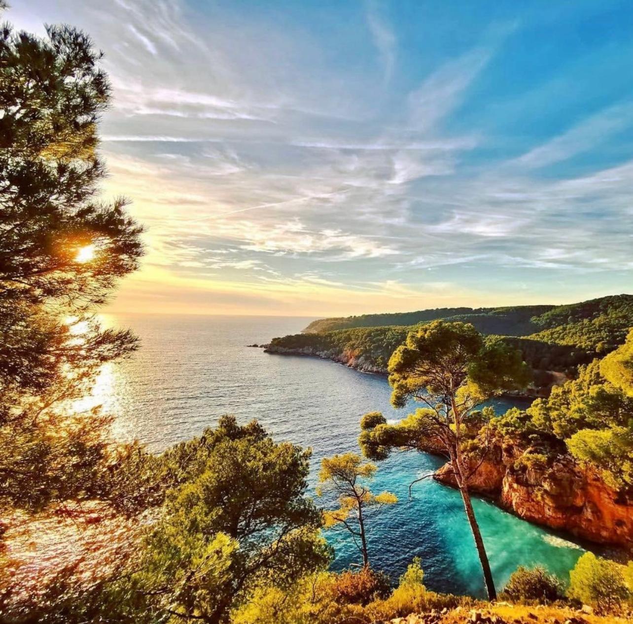 Logement Vue Mer Splendide - Situe A 50 Metres Du Bord De Mer Et 2 Minutes Des Plages - Bandolina Εξωτερικό φωτογραφία