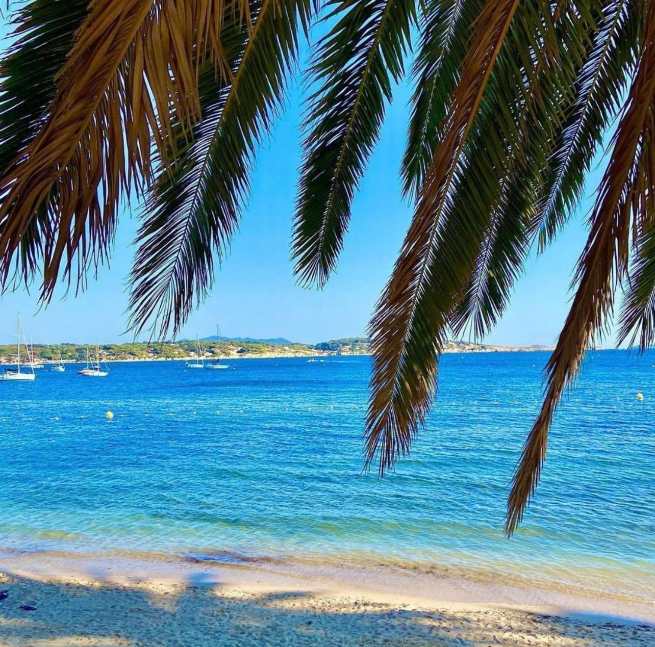 Logement Vue Mer Splendide - Situe A 50 Metres Du Bord De Mer Et 2 Minutes Des Plages - Bandolina Εξωτερικό φωτογραφία