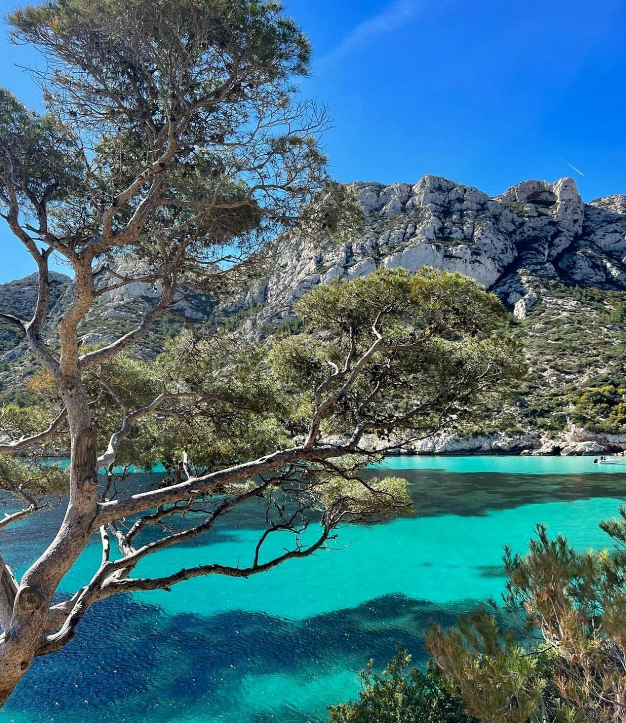 Logement Vue Mer Splendide - Situe A 50 Metres Du Bord De Mer Et 2 Minutes Des Plages - Bandolina Εξωτερικό φωτογραφία
